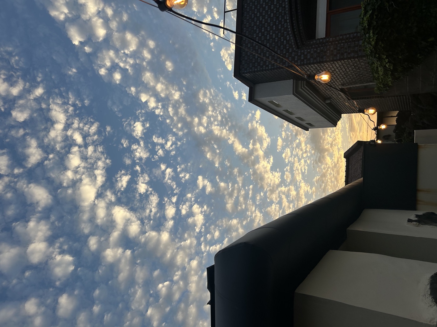 제주 풍경