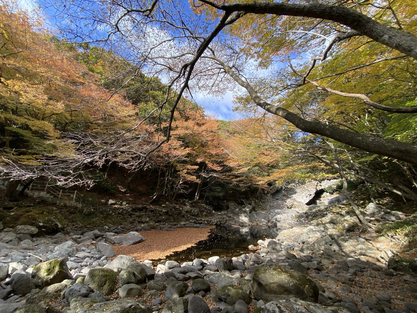제주 풍경