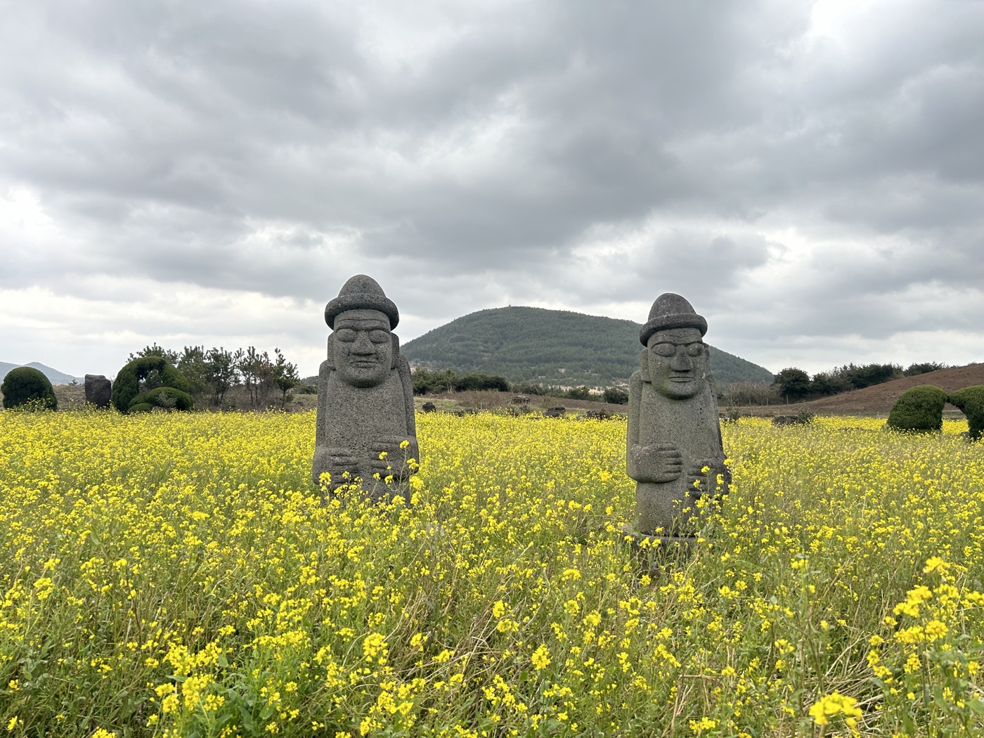 제주 풍경