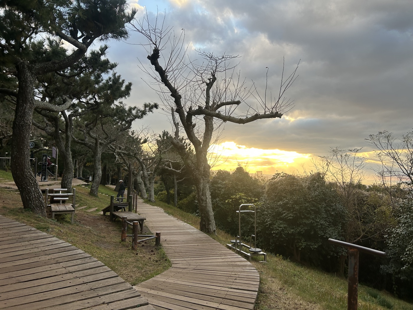 제주 풍경
