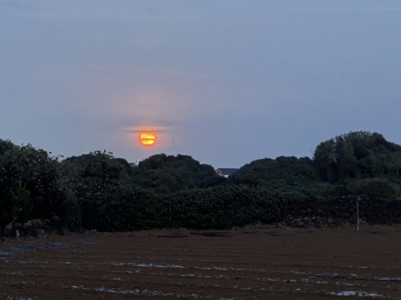제주 풍경