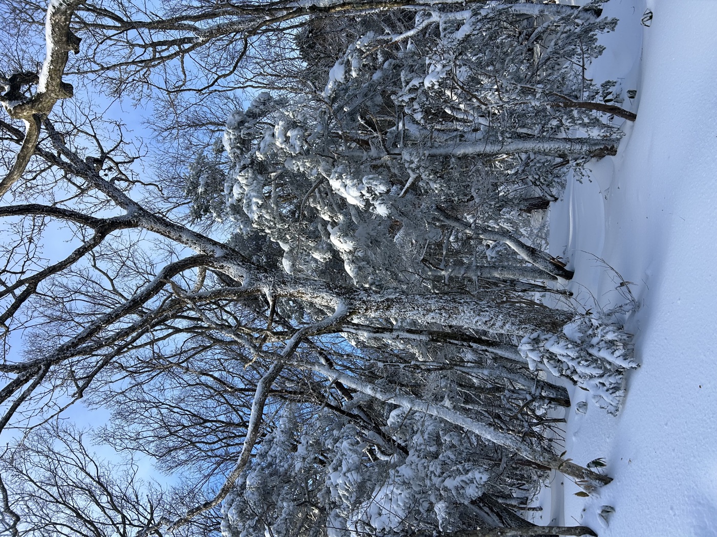 제주 풍경