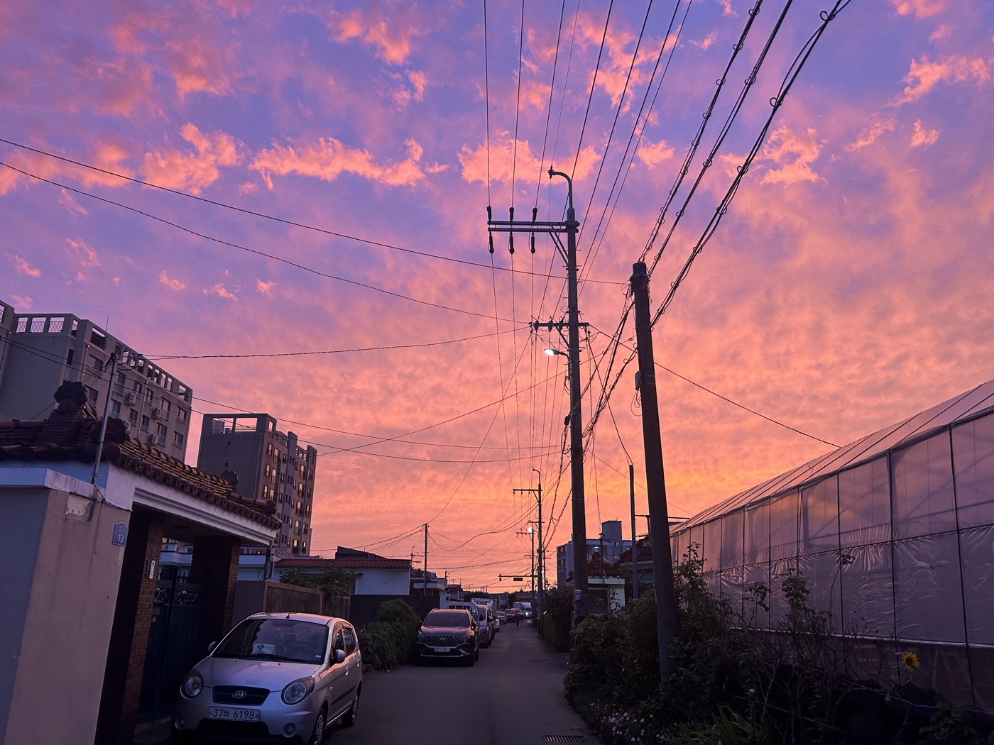 제주 풍경