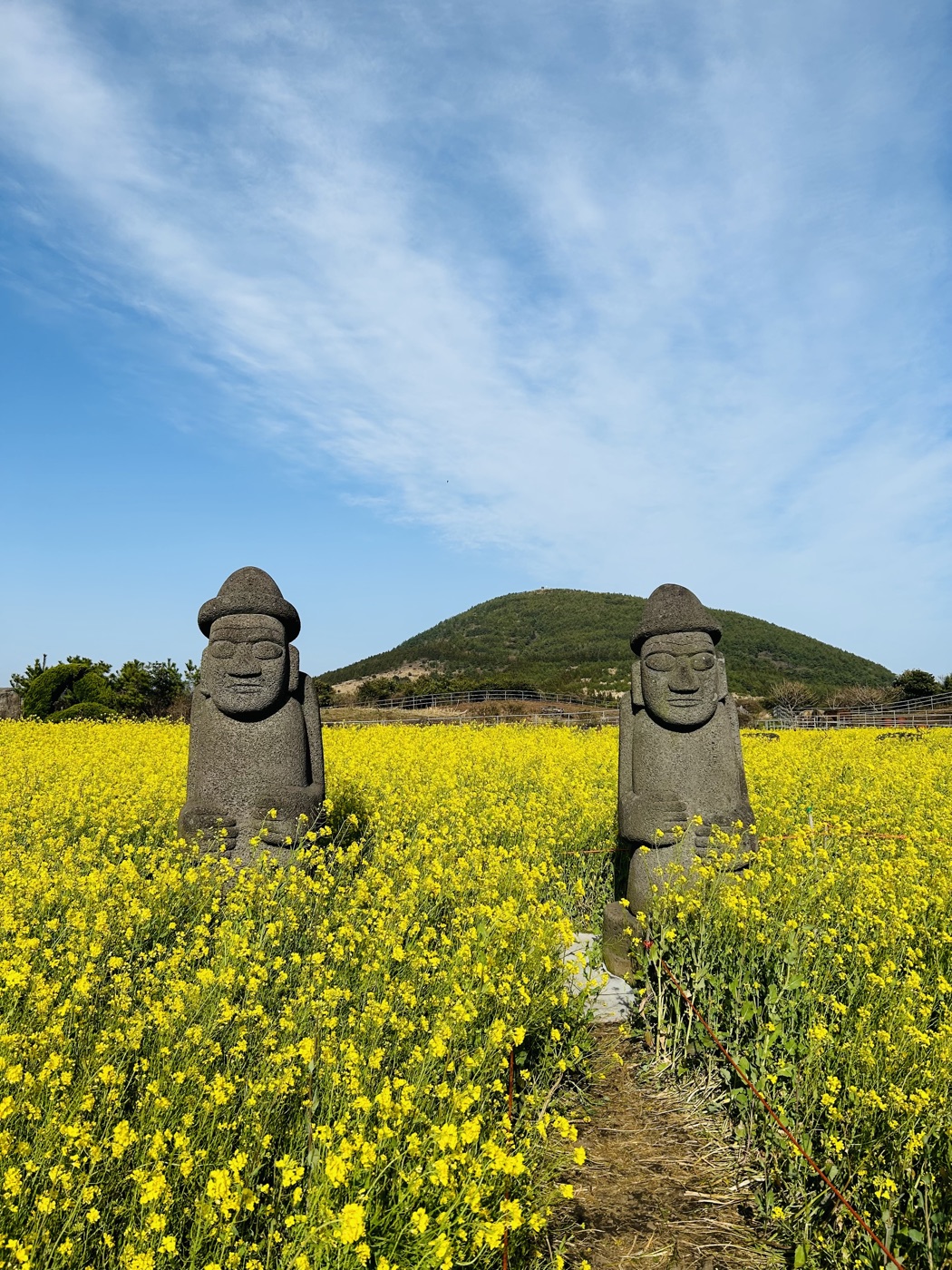 제주 풍경