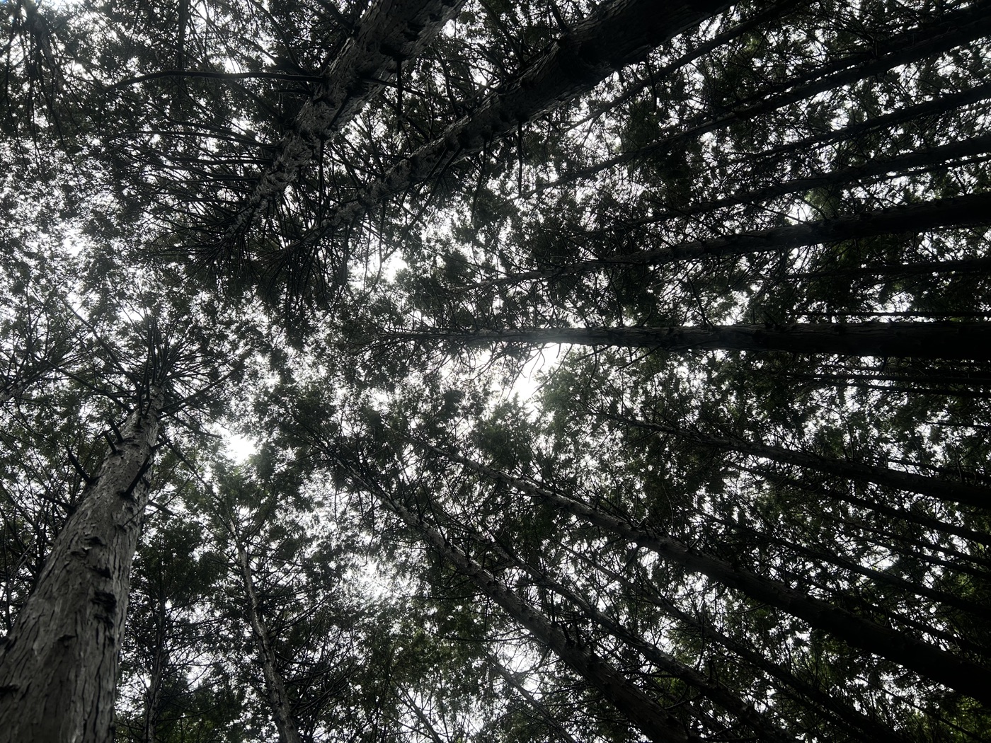 제주 풍경