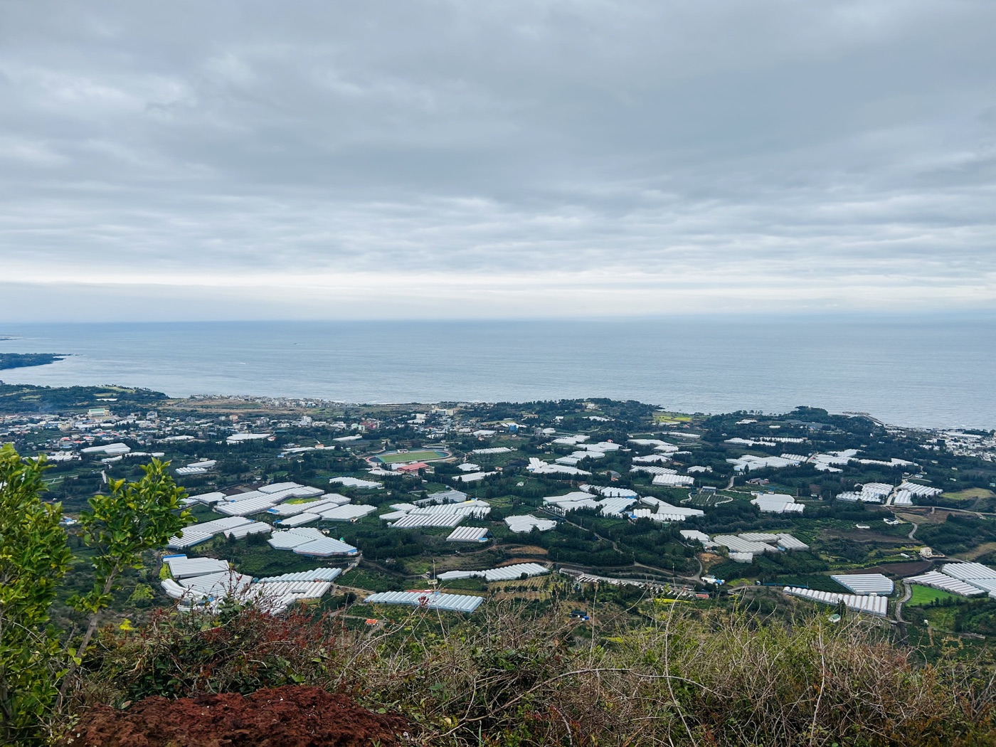 제주 풍경