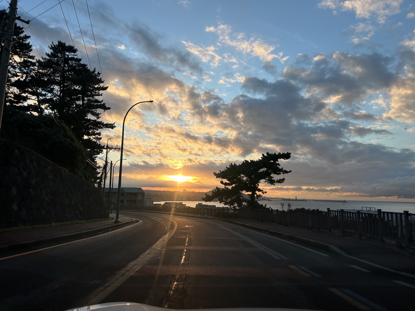제주 풍경