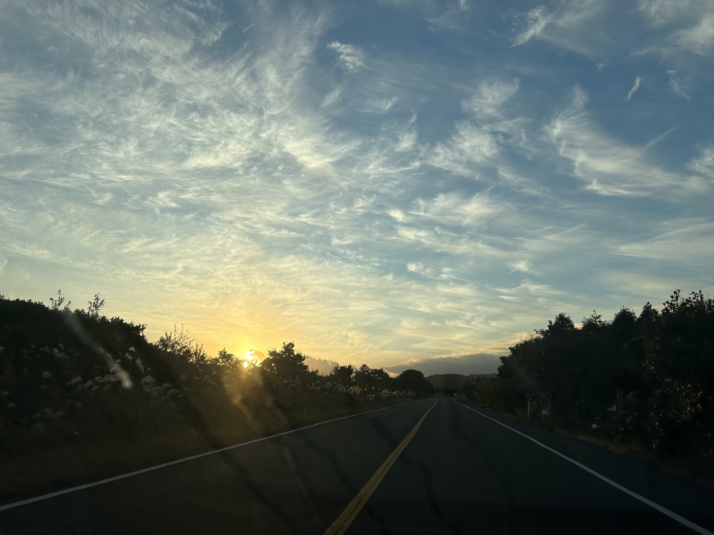 제주 풍경