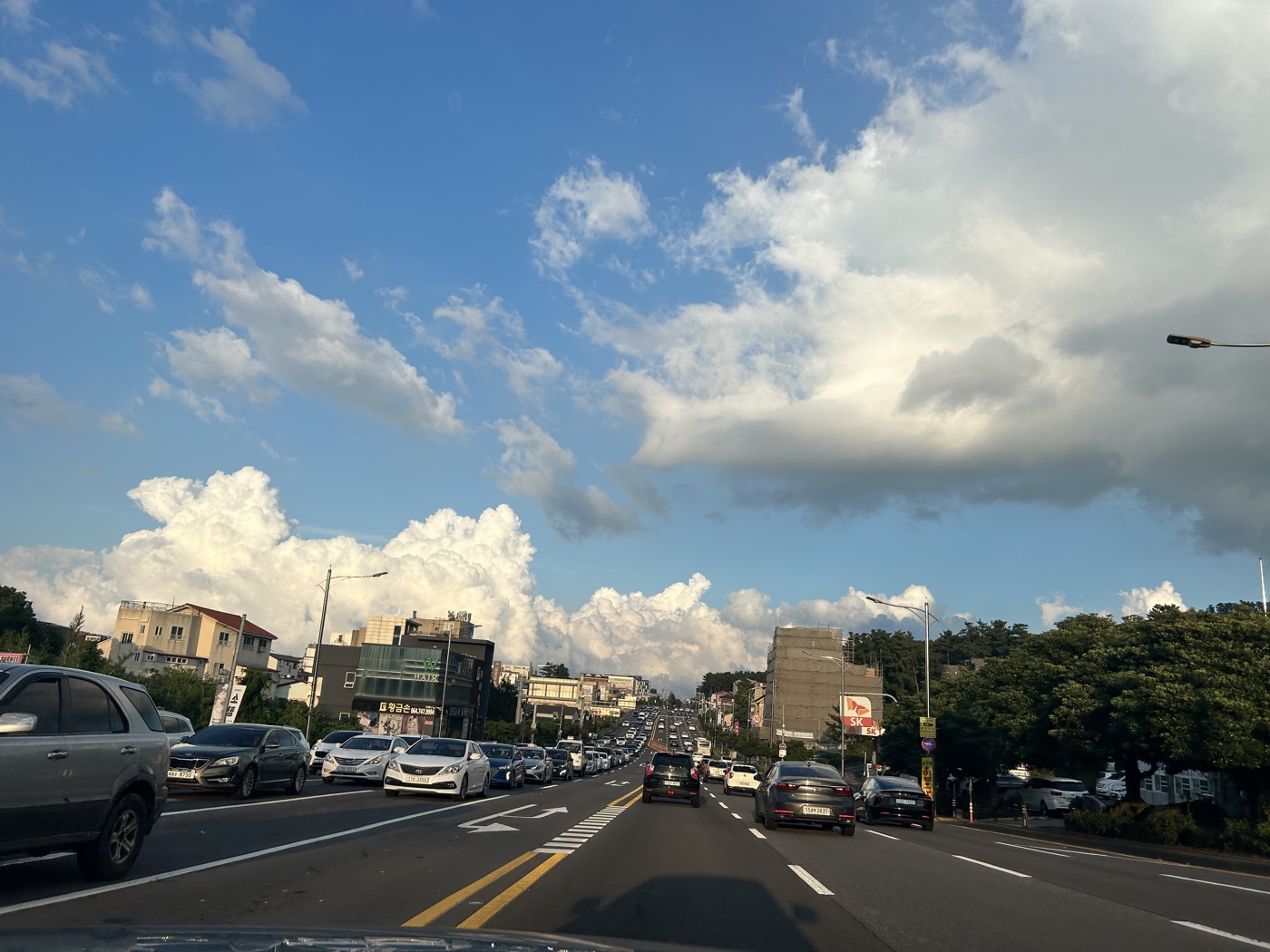 제주 풍경