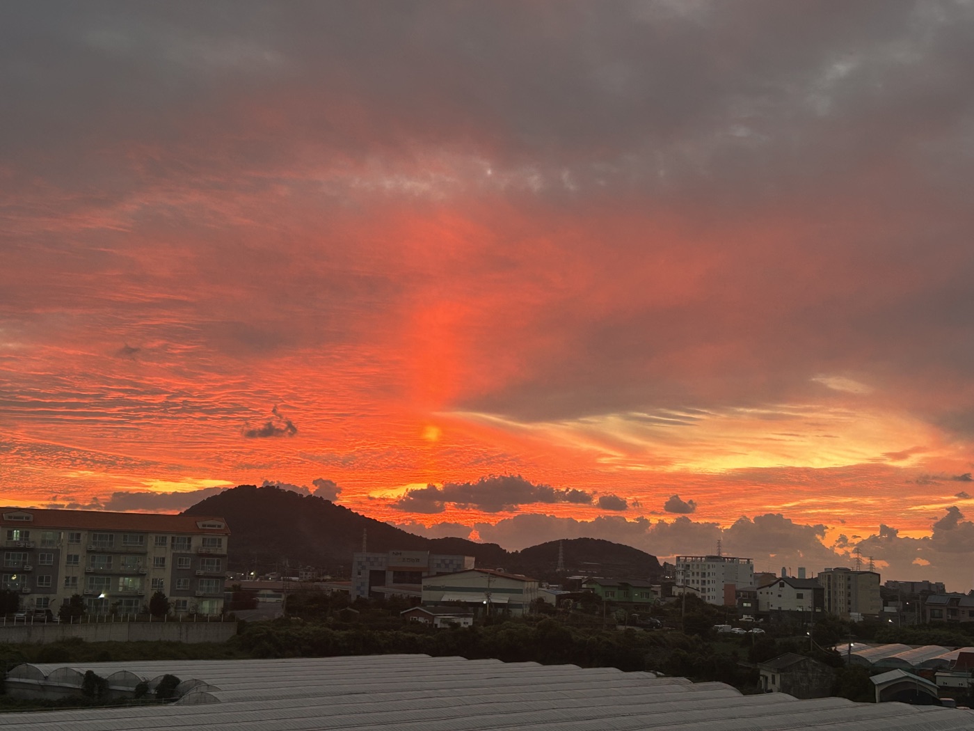 제주 풍경