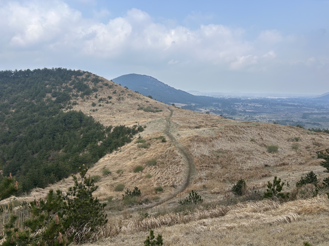 제주 풍경