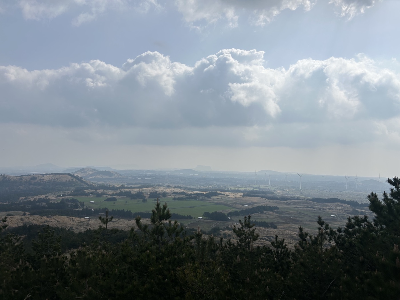 제주 풍경