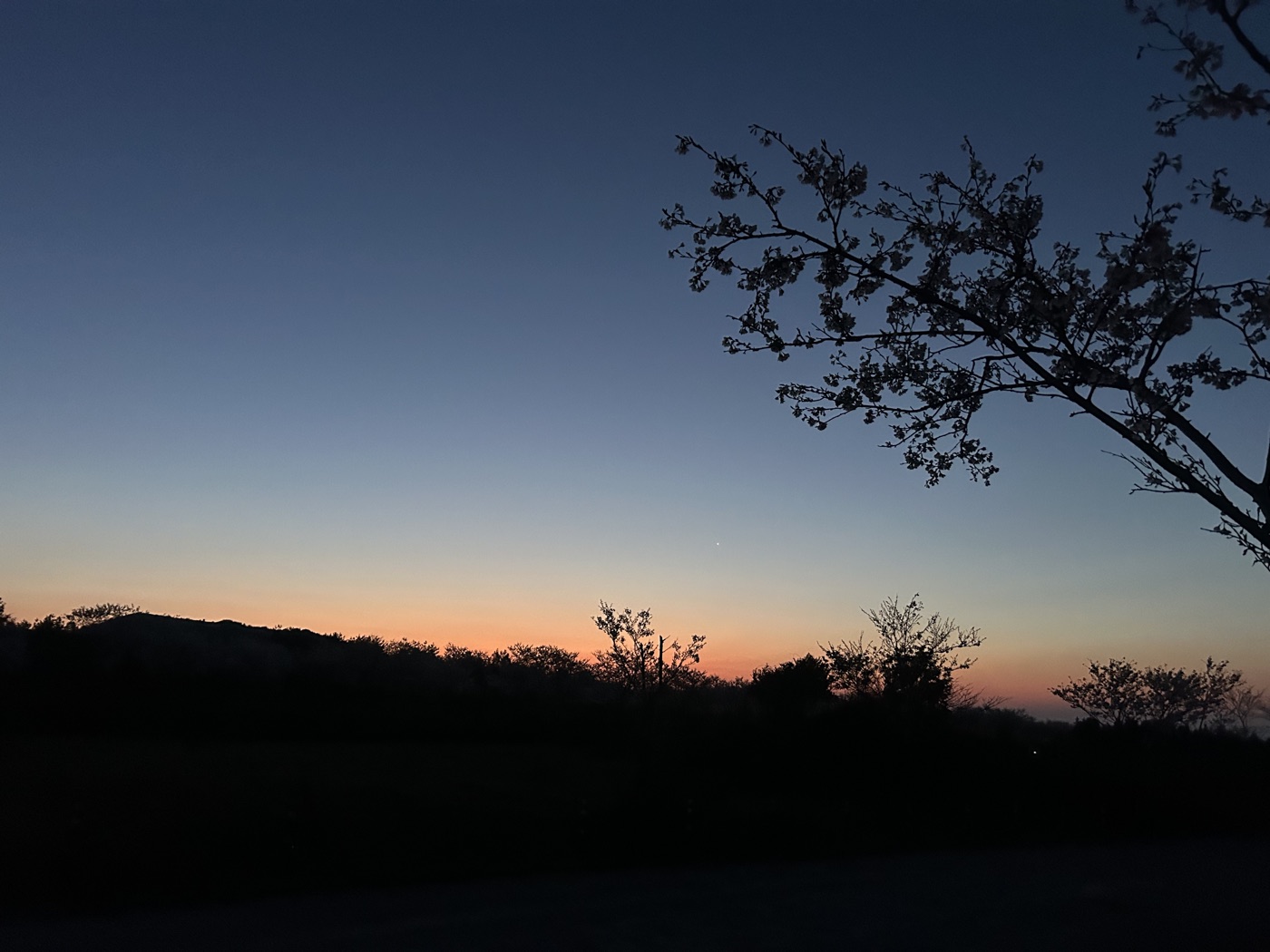 제주 풍경